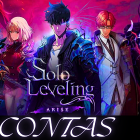 CONTA SOLO LEVELING ARISE